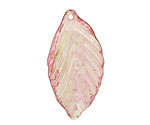 Vintage Meadow Acrylic Honeysuckle Birch Leaf 19x36mm