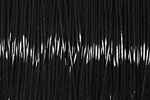 Elasticity Black .8mm, 100 meters