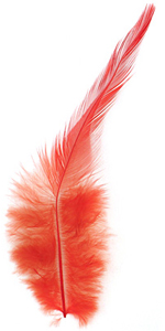 Tangerine Neck Hackle Feather 100-152mm