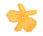 Lucite Marigold Orchid 7x33-36