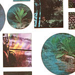 Vintaj Artistic Pond Bezel Sheet
