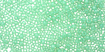 TOHO Milky Kiwi Round 11/0 Seed Bead