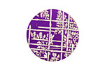 Lillypilly Purple Bamboo Anodized Aluminum Disc 25mm, 24 gauge