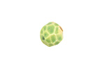 Gaea Ceramic Spring Green Geode Round 11-12x13-14mm