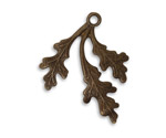 Vintaj Natural Brass Oak Frond 27x35mm