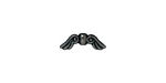 TierraCast Gunmetal Small Angel Wings 5x14mm