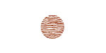 Lillypilly Bronze Zebra Anodized Aluminum Disc 11mm, 24 gauge