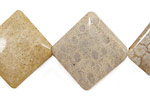 Fossil Coral Diamond 35-36mm