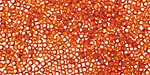 TOHO Burnt Orange (with Silver Lining) Round 11/0 Seed Bead