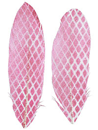 Pink Shimmer Diamond Printed Feathers