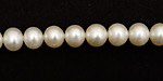 Pearly White Potato 7-8mm