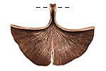 Ezel Findings Antique Copper Ginkgo Leaf Pendant 40x30mm
