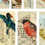 Nunn Design Birds Small Transfer Sheet