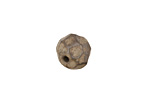 Gaea Ceramic Sage on Chocolate Geode Round 11-12x13-14mm