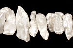 Pearly White Biwa Center-Drilled 6-10x16-22mm