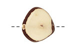 Tagua Nut Cream Banana Chip 22-29x16-22mm