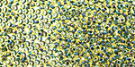TOHO Rainbow Jonquil (with Forest Green Lining) Round 11/0 Seed Bead
