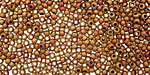 TOHO Opaque Pastel Frosted Mudbrick Round 11/0 Seed Bead
