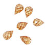 Champagne Faceted Teardrop 6x9mm