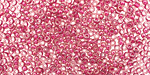 TOHO Light Amethyst (with Fuscia Lining) Round 11/0 Seed Bead