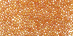 TOHO Transparent Rainbow Frosted Dark Topaz Round 11/0 Seed Bead
