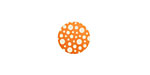 Lillypilly Orange Scattered Dots Anodized Aluminum Disc 11mm, 24 gauge