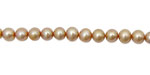 Champagne Potato 4.5-5mm