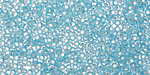 TOHO Aquamarine (with Silver Lining) Round 11/0 Seed Bead
