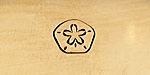 Sand Dollar Metal Stamp 6mm