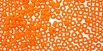 TOHO Opaque Frosted Cantelope Round 8/0 Seed Bead