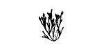 Grass Sprigs Mini Rubber Stamp 13x16mm