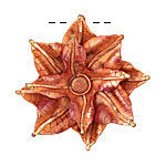 Patricia Healey Copper Stacked Pointed Flower Pendant 55mm