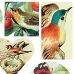 Nunn Design Nature Transfer Sheet