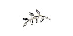 Nunn Design Sterling Silver (plated) Fern Toggle Bar 19x9mm