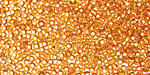 TOHO Topaz (with Silver Lining) Round 11/0 Seed Bead