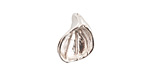 Nunn Design Sterling Silver (plated) Lily Flower Charm 14x17mm