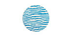 Lillypilly Turquoise Zebra Anodized Aluminum Disc 19mm, 24 gauge