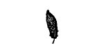 Feather Solid Mini Rubber Stamp 6x17mm
