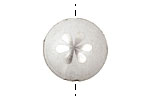 Trinket Foundry Silver Daisy Bottle Cap Puff Coin 22mm