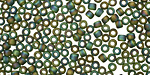 TOHO Transparent Rainbow Frosted Olivine Round 8/0 Seed Bead
