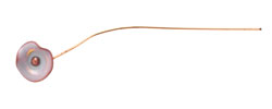 C-Koop Enameled Metal Nude Tan Small Flower Headpin 13mm
