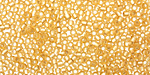TOHO Light Topaz (with Frosted Silver Lining) Round 11/0 Seed Bead