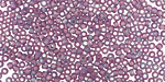 TOHO Transparent Rainbow Frosted Medium Amethyst Round 11/0 Seed Bead