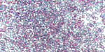 TOHO Rainbow Aqua (with Purple Lining) Treasure #1 Seed Bead