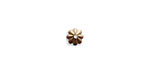 Vintaj Natural Brass Daisy Bead Cap 6mm