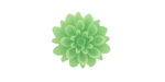 Transparent Jade Lucite Dahlia Flower Cabochon 16mm