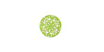 Lillypilly Lime Green Kaleidoscope Anodized Aluminum Disc 11mm, 24 gauge