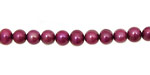 Berry Pink Potato 5-5.5mm