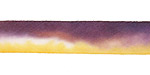 Wild Iris Hand Dyed 100% Silk Ribbon 7/16"