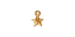 TierraCast Antique Gold (plated) Faceted Star Charm 8x11mm